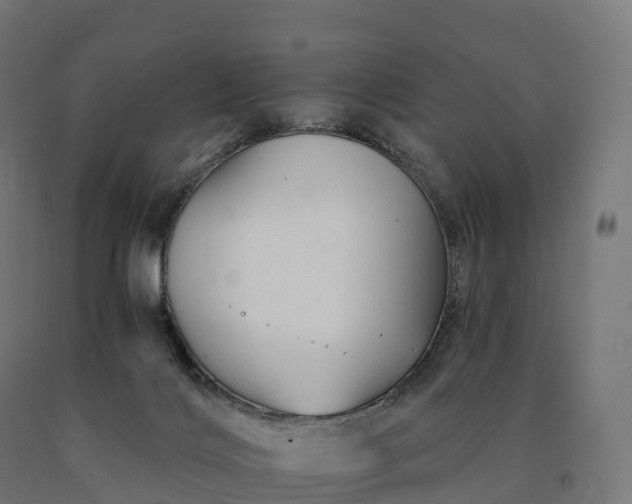 X0000090780028200708031725
