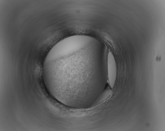 X0000090780029200708031725