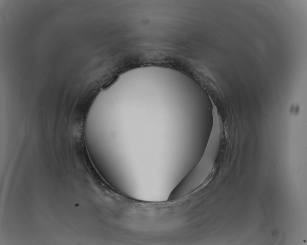 X0000090780033200708031725