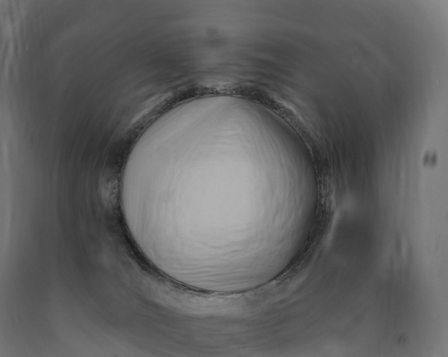 X0000090780036200708031725