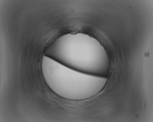 X0000090780037200708031725