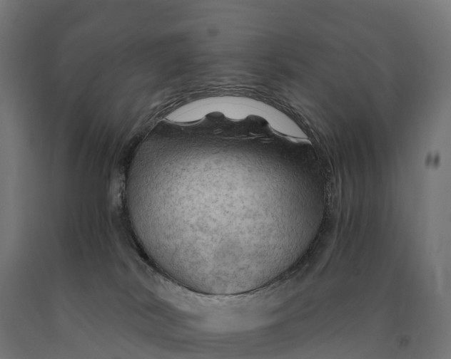 X0000090780038200708031725