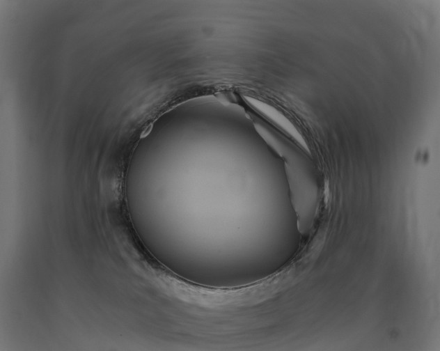 X0000090780039200708031725