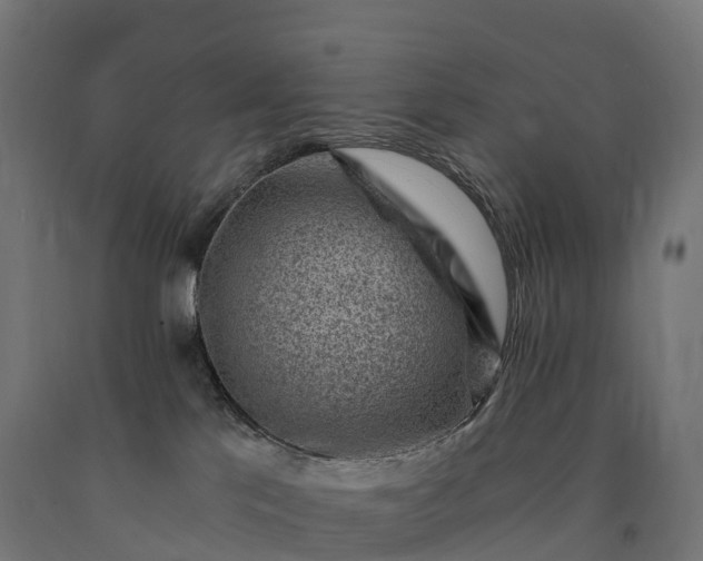X0000090780041200708031725