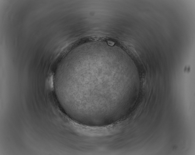 X0000090780042200708031725