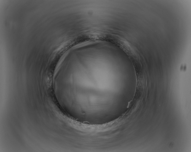 X0000090780043200708031725