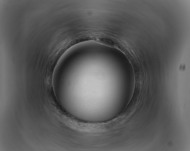 X0000090780044200708031725