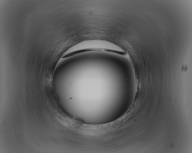 X0000090780045200708031725