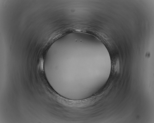 X0000090780046200708031725