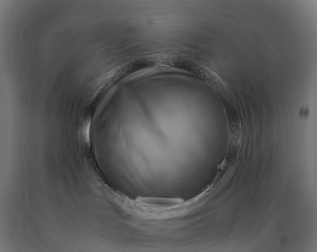 X0000090780047200708031725