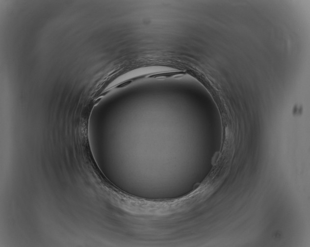 X0000090780048200708031725