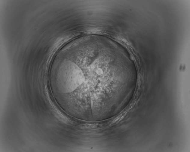 X0000090780049200708031724