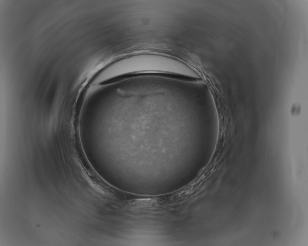 X0000090780050200708031724