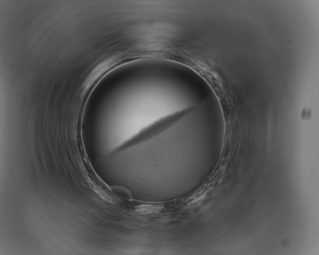 X0000090780051200708031724