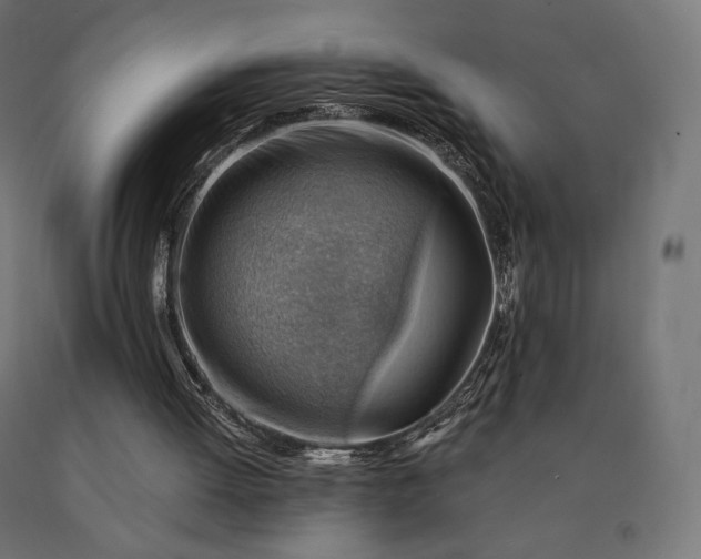 X0000090780052200708031724