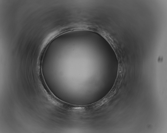 X0000090780053200708031724