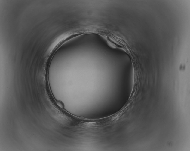 X0000090780054200708031724