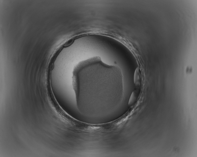 X0000090780055200708031724