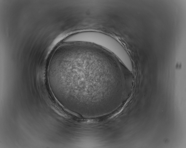 X0000090780056200708031724