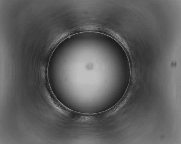 X0000090780057200708031724
