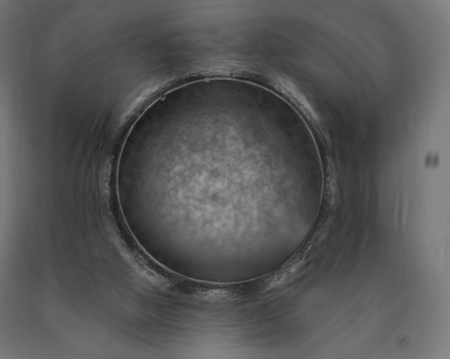 X0000090780058200708031724