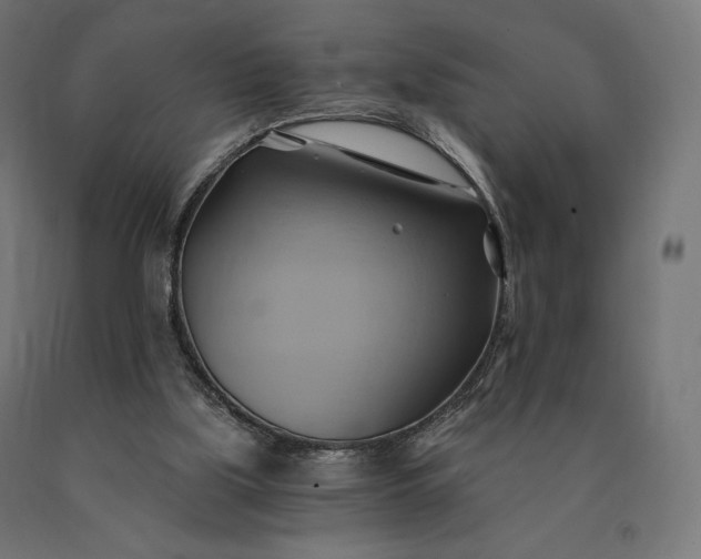 X0000090780059200708031724