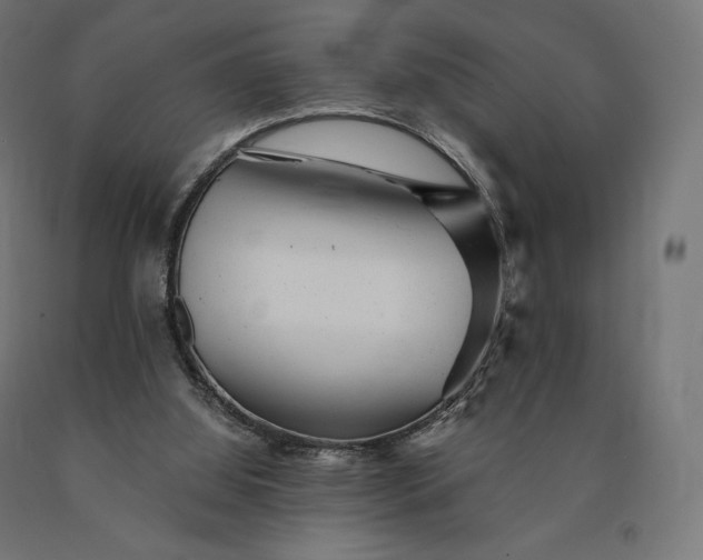 X0000090780060200708031724