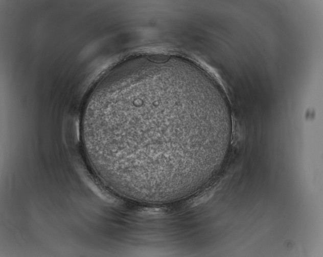 X0000090780061200708031724