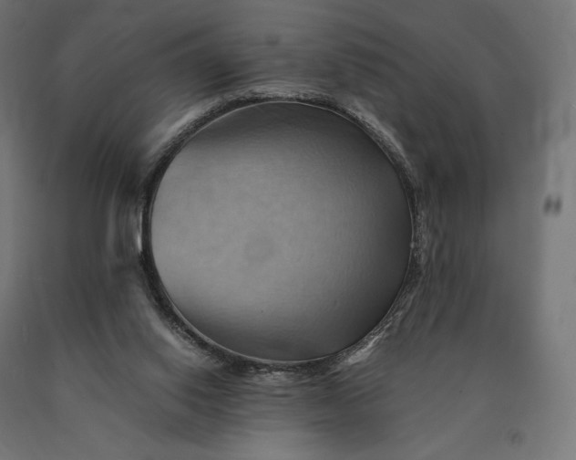 X0000090780062200708031724