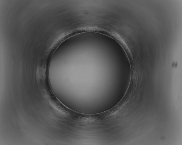 X0000090780063200708031724