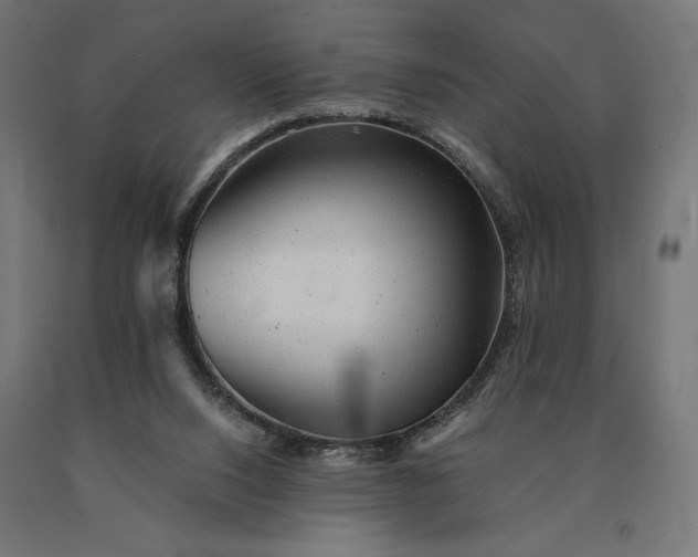 X0000090780064200708031724