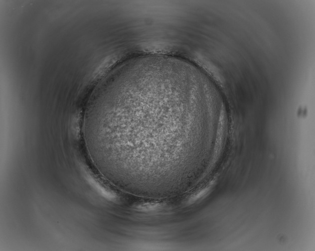 X0000090780065200708031724