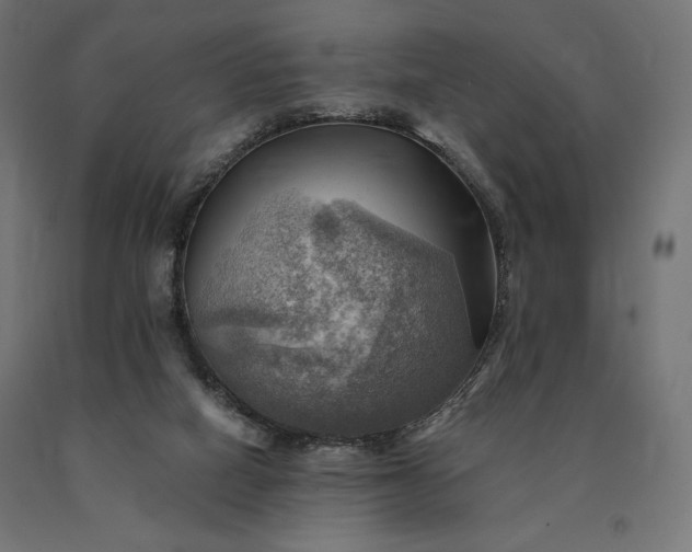 X0000090780066200708031724