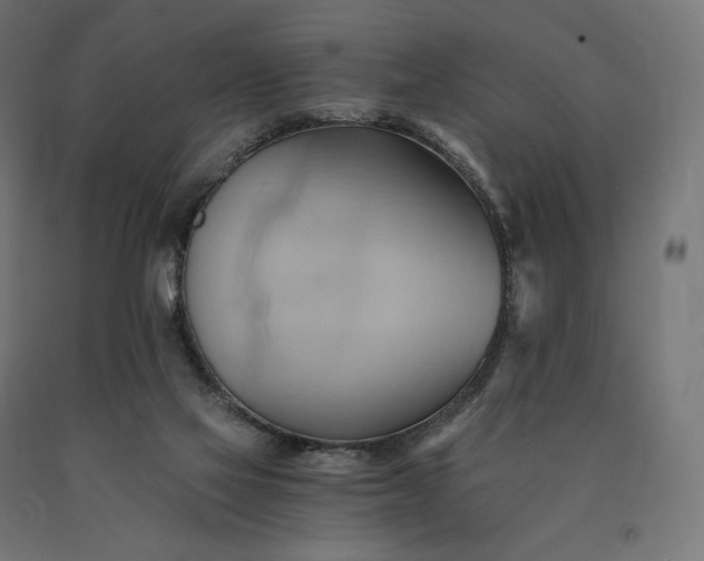 X0000090780069200708031724