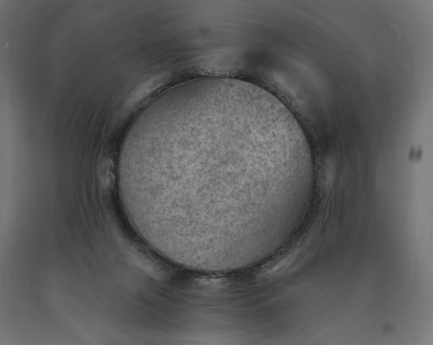 X0000090780071200708031724