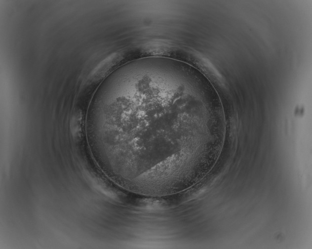 X0000090780073200708031724