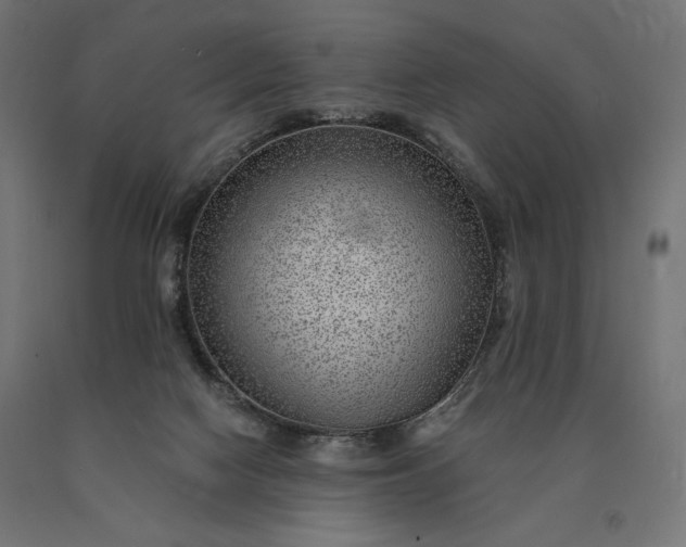 X0000090780074200708031724