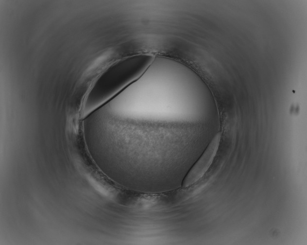 X0000090780076200708031724