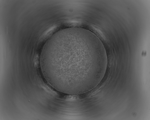 X0000090780077200708031724