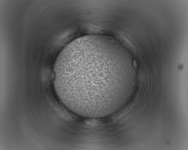 X0000090780079200708031724
