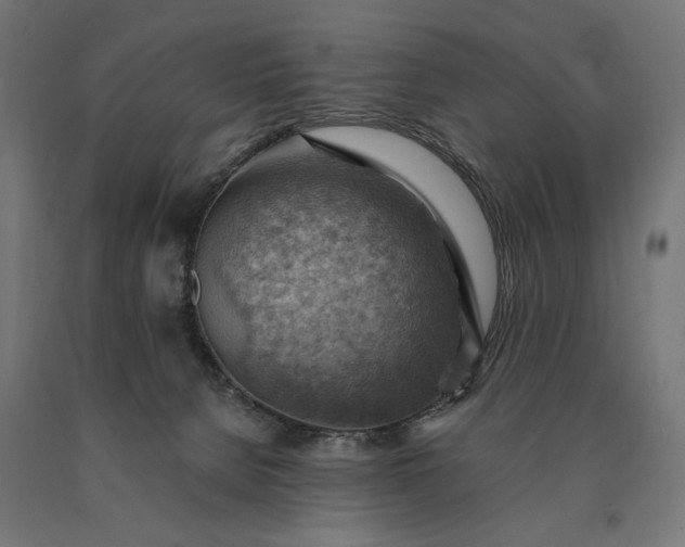 X0000090780080200708031724