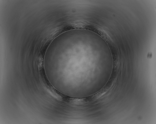 X0000090780081200708031725