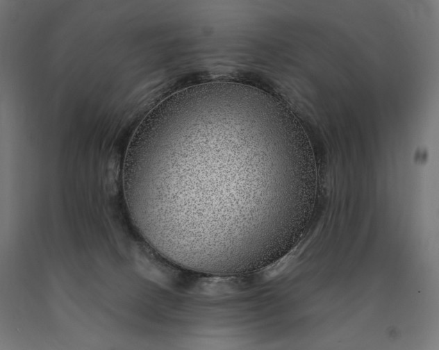 X0000090780082200708031725