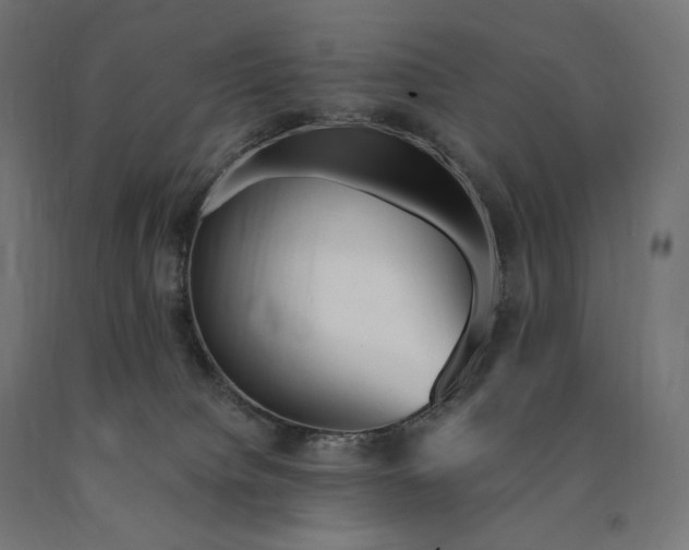 X0000090780084200708031725