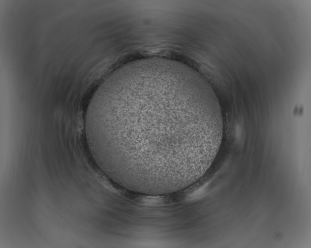 X0000090780085200708031725