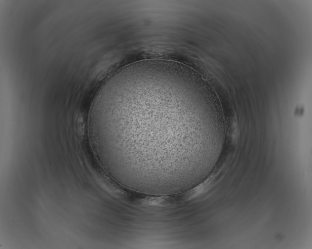 X0000090780086200708031725
