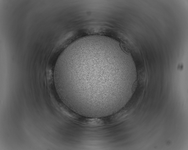 X0000090780087200708031725