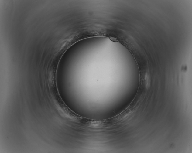X0000090780088200708031725