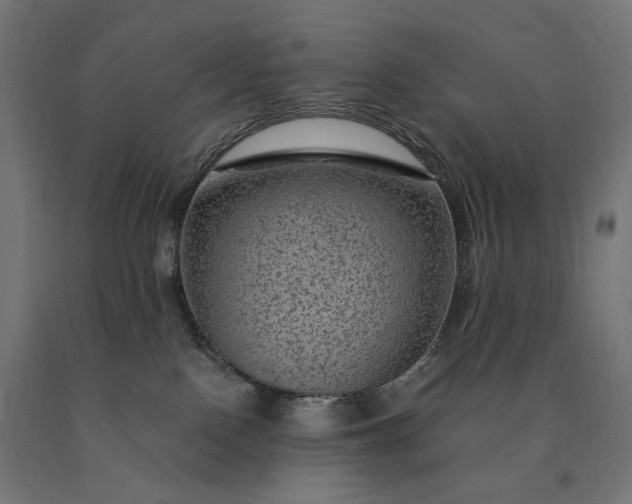X0000090780090200708031725