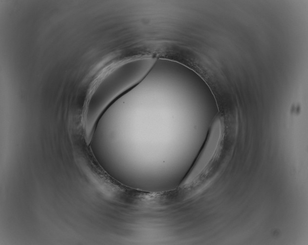 X0000090780092200708031725